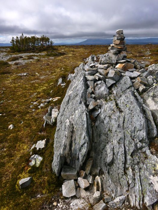 Campbell Summit cairn, and 'lonely huddle' of pines :)